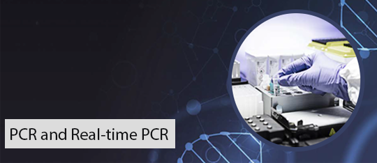 PCR and Real-time PCR