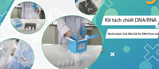 Kit tách chiết DNA/RNA