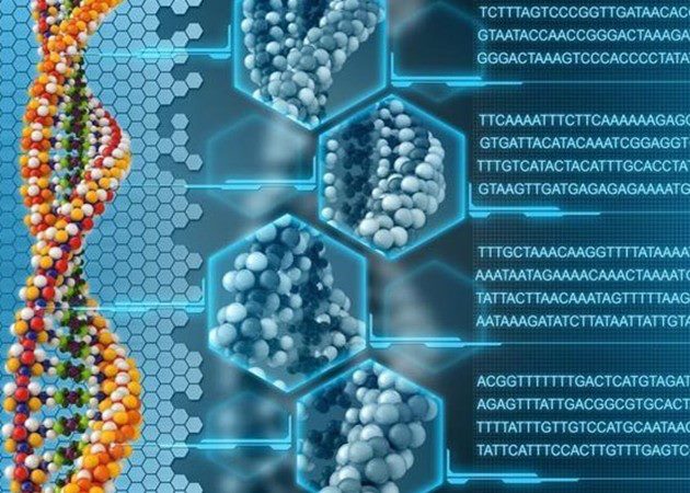 Giải trình tự thế hệ mới Next Generation Sequencing