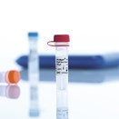 2. PCR & Real-time PCR