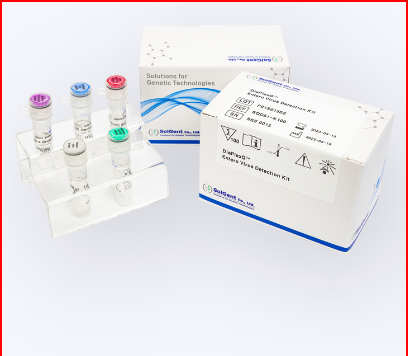 3. Molecular Diagnosis Kit