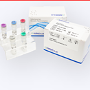 3. Molecular Diagnosis Kit