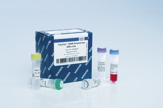 HotstarTaq DNA Polymerase