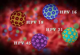 AccuPid HPV-HR Genotyping (16,18) Kit - Kit định genotype HPV nguy cơ cao