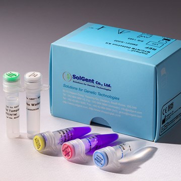 DiaPlexQ™ PneumoPatho 13 Detection Kit