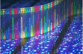 EcoDye Nucleic Acid Staining Solution