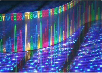 EcoDye Nucleic Acid Staining Solution