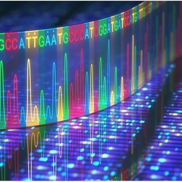 EcoDye Nucleic Acid Staining Solution