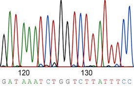 Multi Bead ™ Sequencing Reaction Clean Up Kit - Kit tinh sạch sản phẩm phản ứng bigdye