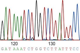 Multi Bead ™ Sequencing Reaction Clean Up Kit - Kit tinh sạch sản phẩm phản ứng bigdye