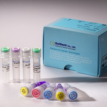 DiaPlexQ™ ZCD Virus Detection Kit