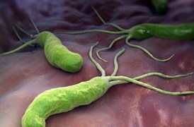 AccuLite H. pylori Genotyping Kit