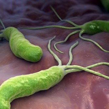 AccuLite H. pylori Genotyping Kit