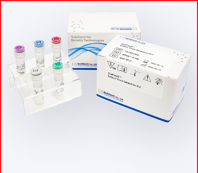 DiaPlexQ Novel Coronavirus (2019-CoV) Detection Kit - Kit xét nghiệm Covid-19