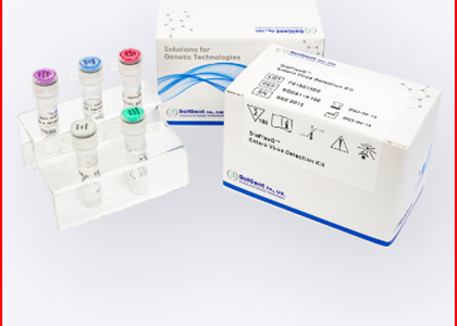 DiaPlexQ Novel Coronavirus (2019-CoV) Detection Kit - Kit xét nghiệm Covid-19